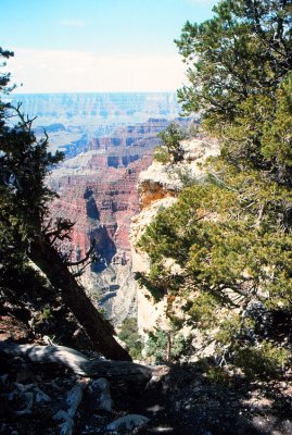 North Rim of Grand Canyon-03