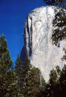 Yosemite El Capitan in the Morning