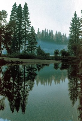 Yosemite reflections