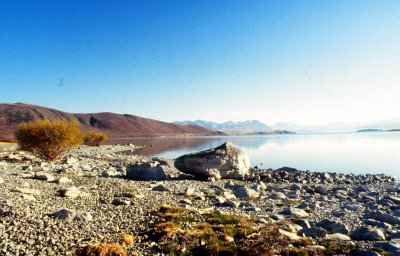 New Zealand Rugged Lake Shore