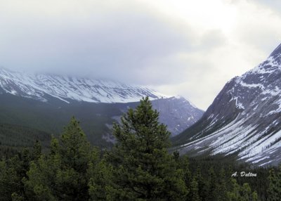 Foothills