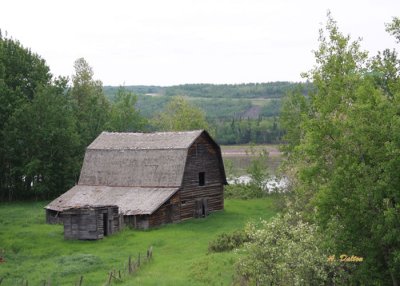 Springtime Along The Peace River