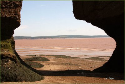 A View of Fundy