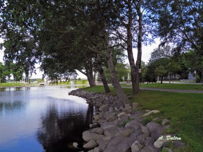 Wentworth Park ~ Sydney