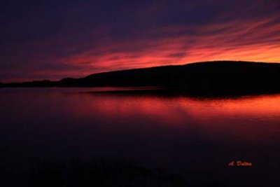 Evening At The Lake