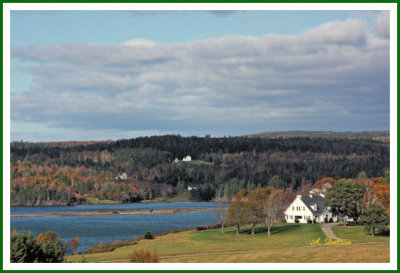 Along The Bay