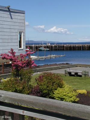 Along The Boardwalk ~ Digby, Nova Scotia