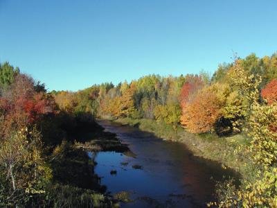 Near Irishtown, New Brunswick