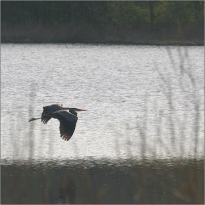 IMG_1914w.jpg