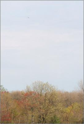 IMG_2157w2.jpg