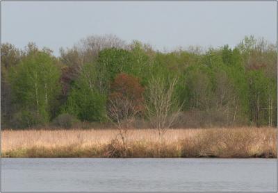 IMG_2363w.jpg