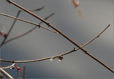IMG_2605w.jpg