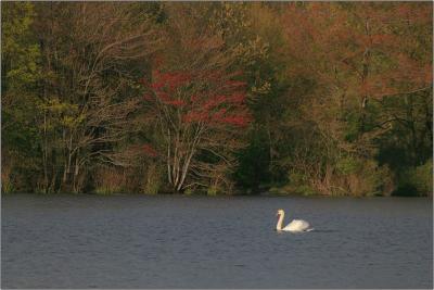 IMG_2685w.jpg