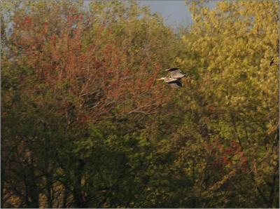 IMG_2777w.jpg