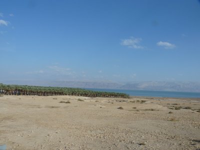 Oasis of the Dead Sea