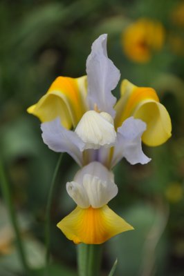DSC_0108.jpg