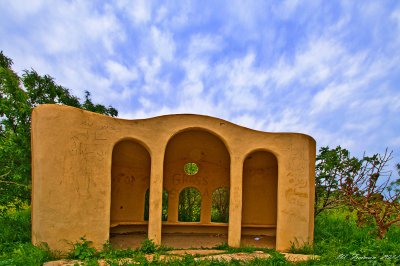 DSC_6208c.jpg