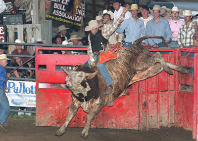 Bull Riding