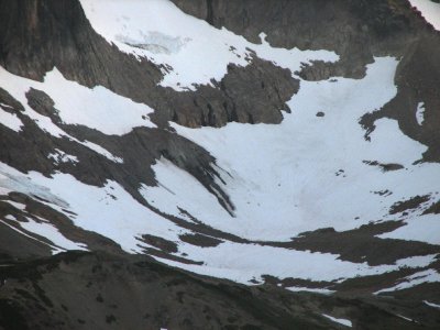 Snow Fields