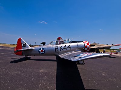 The T-6