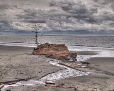 Landscape from the Southern Washington Coast 