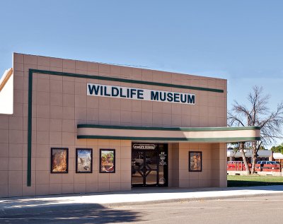 Wildlife Museum housed ina former theater