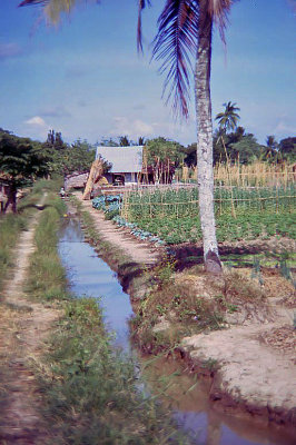 Vietnamese Village