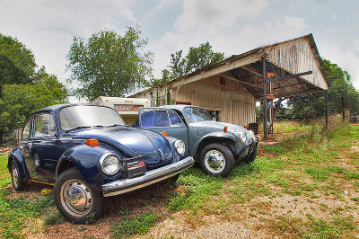 VWs, View 2