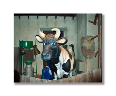 Molly The Cow