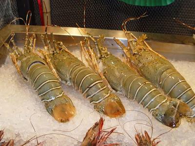 Phuket Lobster