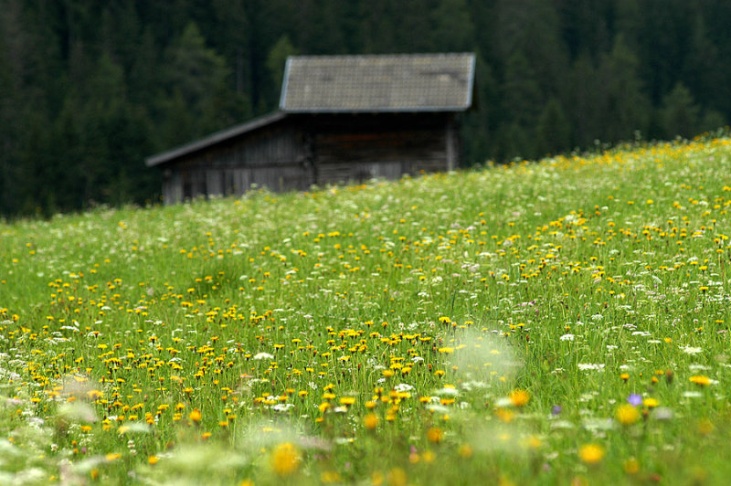 Obertilliach