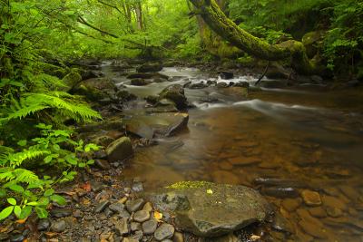 Cwm Clydach