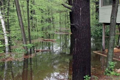 corner of our patio & brook/woods view