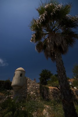 3347w.jpg