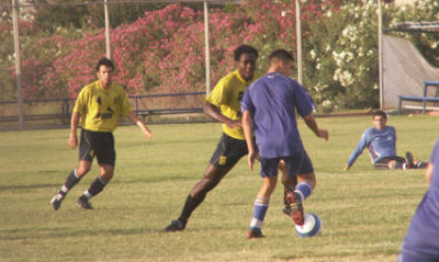 pic6.jpg