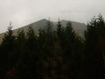 S_DSCF3918.jpg