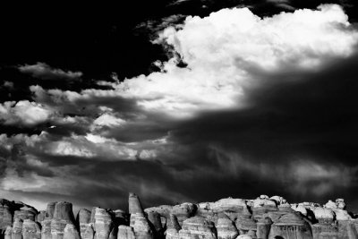 Fins and sky (B&W)