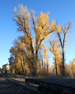Cottonwoods, Chama Station
