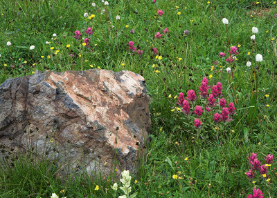 Paintbrush and rock