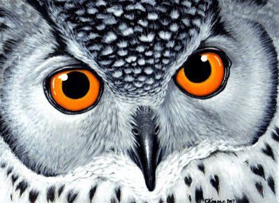 Snowy_Owl_acrylic_painting_by_MandarinMoon.jpg