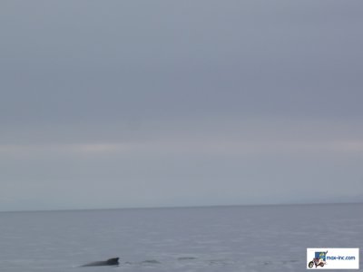 g4/15/3315/3/136337749.N2XeazfI.jpg