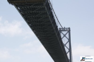IMG_7025.jpg