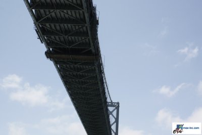 IMG_7029.jpg