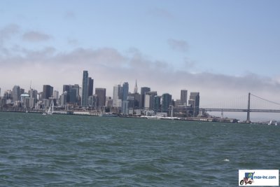 IMG_7113.jpg