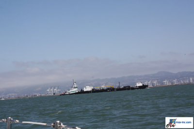 IMG_7117.jpg