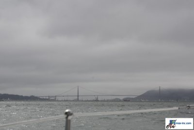 IMG_7236.jpg