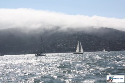 IMG_7302.jpg