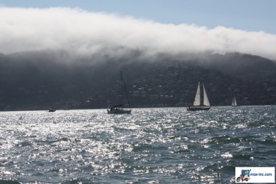 IMG_7303.jpg