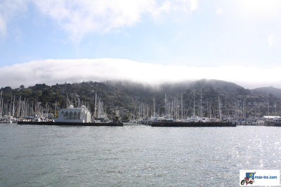 IMG_7324.jpg