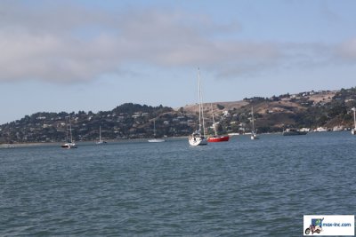 IMG_7326.jpg